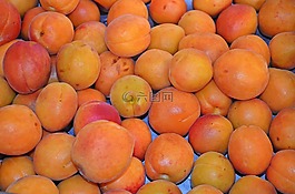 杏,水果,食品