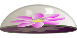 盛開(kāi),玻璃,玻璃