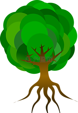樹(shù),分支機(jī)構(gòu),根