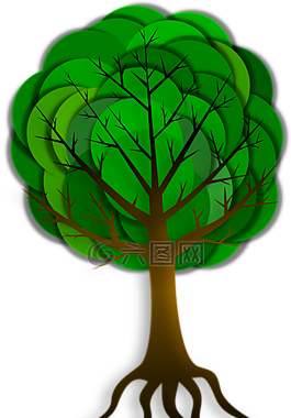 樹(shù),分支機(jī)構(gòu),根