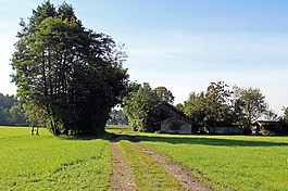 巷,字段,草地