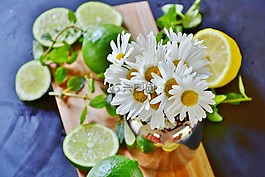 雛菊,石灰,檸檬