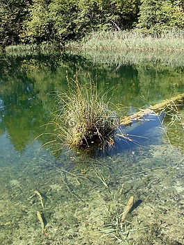 水,仍,清除