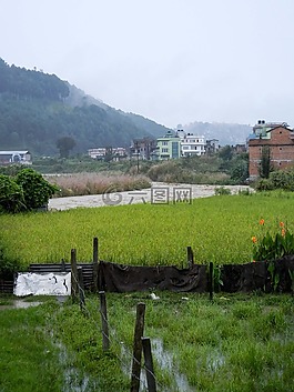 亞洲,尼泊爾,旅行