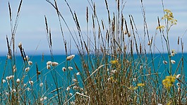 海,现场,景区
