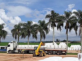 卡車,棕櫚樹,拖拉機(jī)