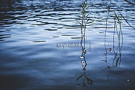 湖,池,小區(qū)