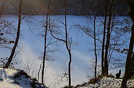 寒冬,geforener 湖,冬季森林
