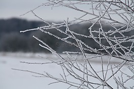 冬天,雪,冷