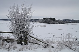 冬天,雪,冷