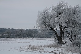 冬天,雪,冷