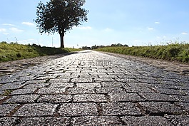 路,鵝卵石,樹