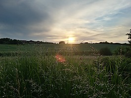 夏季,德國,景觀