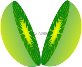 石灰,猕猴桃,水果