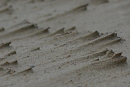 砂,海滩,背景