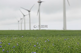 風(fēng)力發(fā)電機組,林,法國