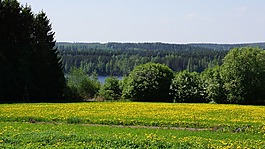 芬蘭,景觀,場