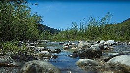 河,石頭,水