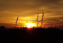 日落,視圖,天空