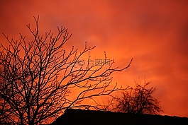 日出,紅色,天空