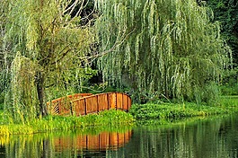 橋,公園,風景