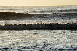 沖浪,海洋,海灘