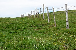 牧場,草地,性質(zhì)