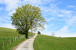 離,道路,性質(zhì)