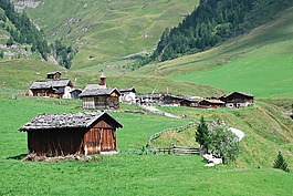 房子,小屋,景观
