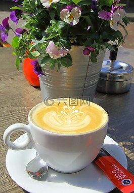 milchschaum,咖啡,花盆