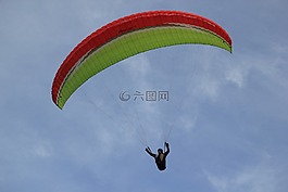 火雞,運動,飛行