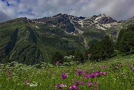 布鲁斯区域,山,高加索地区