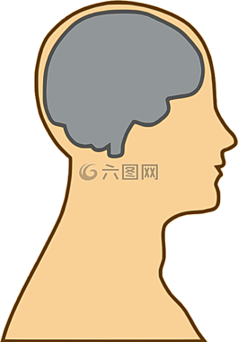 腦,解剖,男子