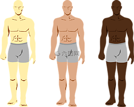 身體,人類,男