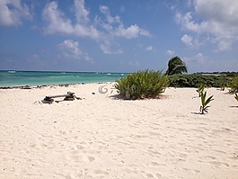 墨西哥,海灘,majahual