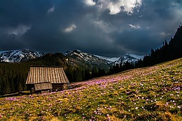 山,景觀,小木屋