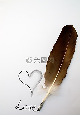 愛,愛情,心臟