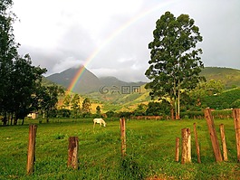 彩虹,馬,山