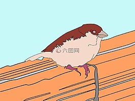 鸟,麻雀,图
