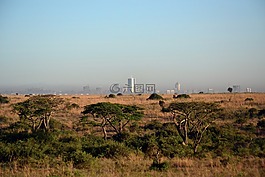 內羅畢,肯尼亞,非洲城市景觀