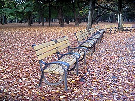 公园长椅,长椅,公园