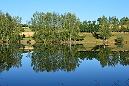 性質(zhì),池塘,景觀