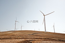 能源,原野,草