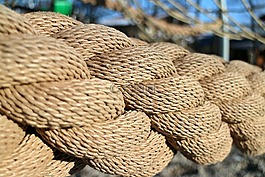 露水,tross,繩索