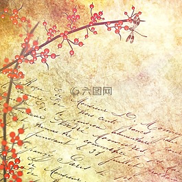 文具,紋理,紙