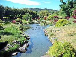 河,水,樹