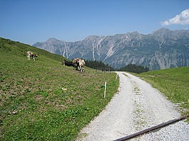 贝尔热,landschaft,阿尔卑斯
