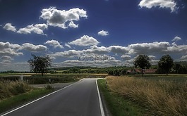 景觀,路,土地