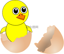 小鸡,孵化,鸡蛋