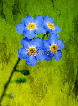 花,性質,影響